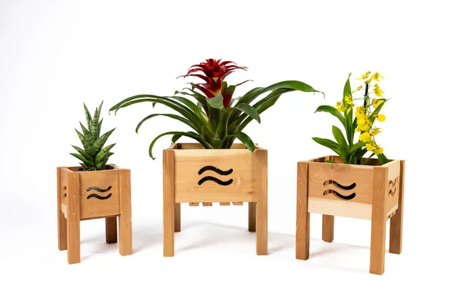 greenes-fence-aromatic-cedar-botanical-display-planter-set-with-wave-cutouts-rcp image 1