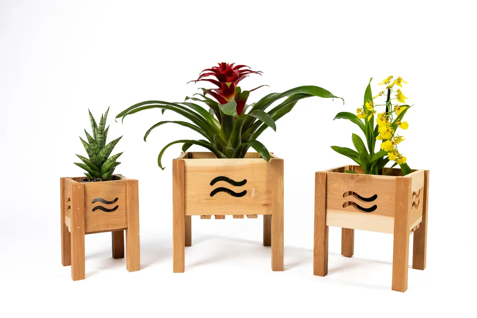greenes-fence-aromatic-cedar-botanical-display-planter-set-with-wave-cutouts-rcp image 1