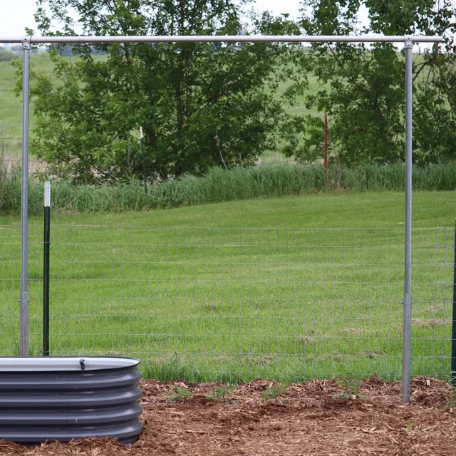 bootstrap-farmer-diy-1-3-8-heavy-duty-tomato-trellis-kit image 1