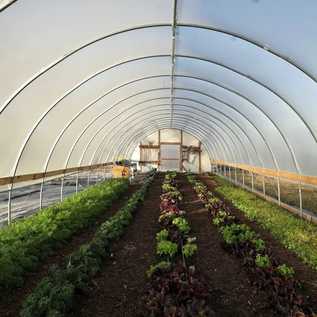 bootstrap-farmer-diy-greenhouse-kit-12-ft-wide-hoop-house-length-options-with-lo image 1