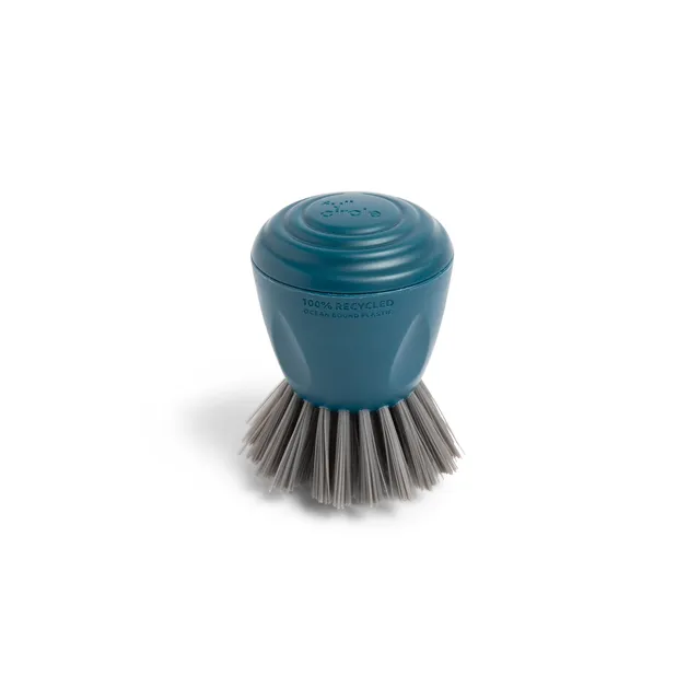 full-circle-clean-ocean-palm-brush image 1