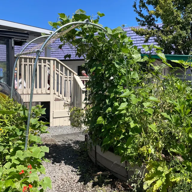 bootstrap-farmer-diy-garden-arch image 1