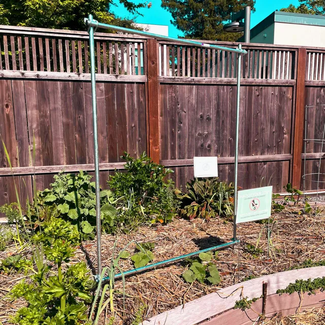 bootstrap-farmer-diy-vine-trellis image 1