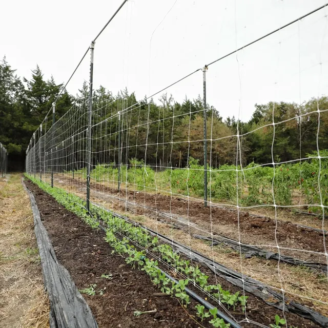 bootstrap-farmer-trellis-netting-6-mesh-durable-polypropylene-for-vertical-garde image 1