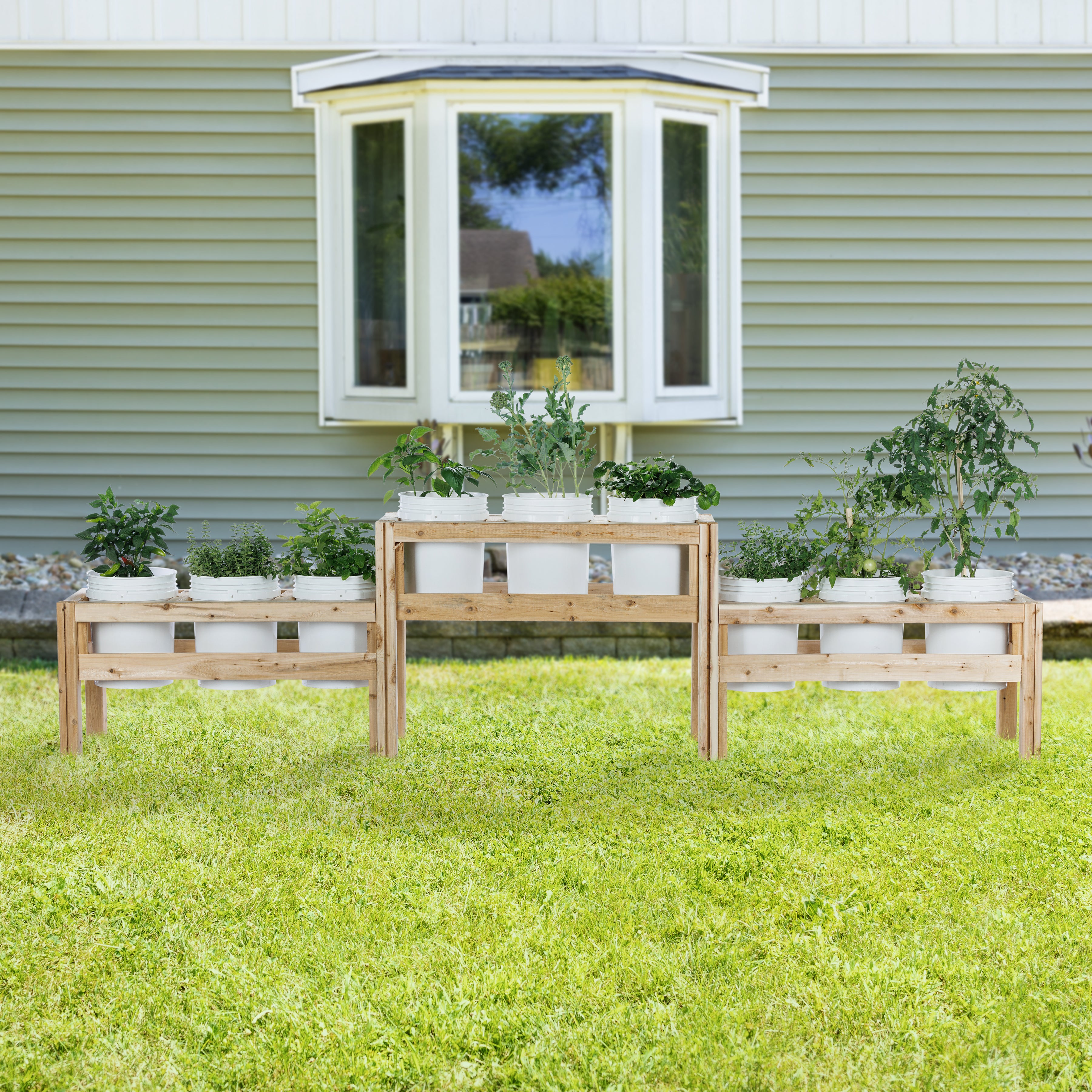 greenes-fence-two-tier-nine-bucket-elevated-cedar-wood-garden-frame-125-in-x-16- image 2