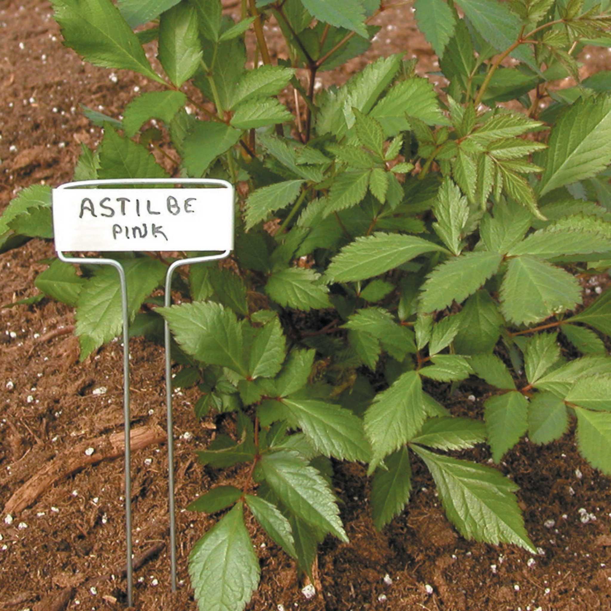 luster-leaf-classic-impressions-10-inch-plant-labels-copper-or-zinc-10-pack image 2