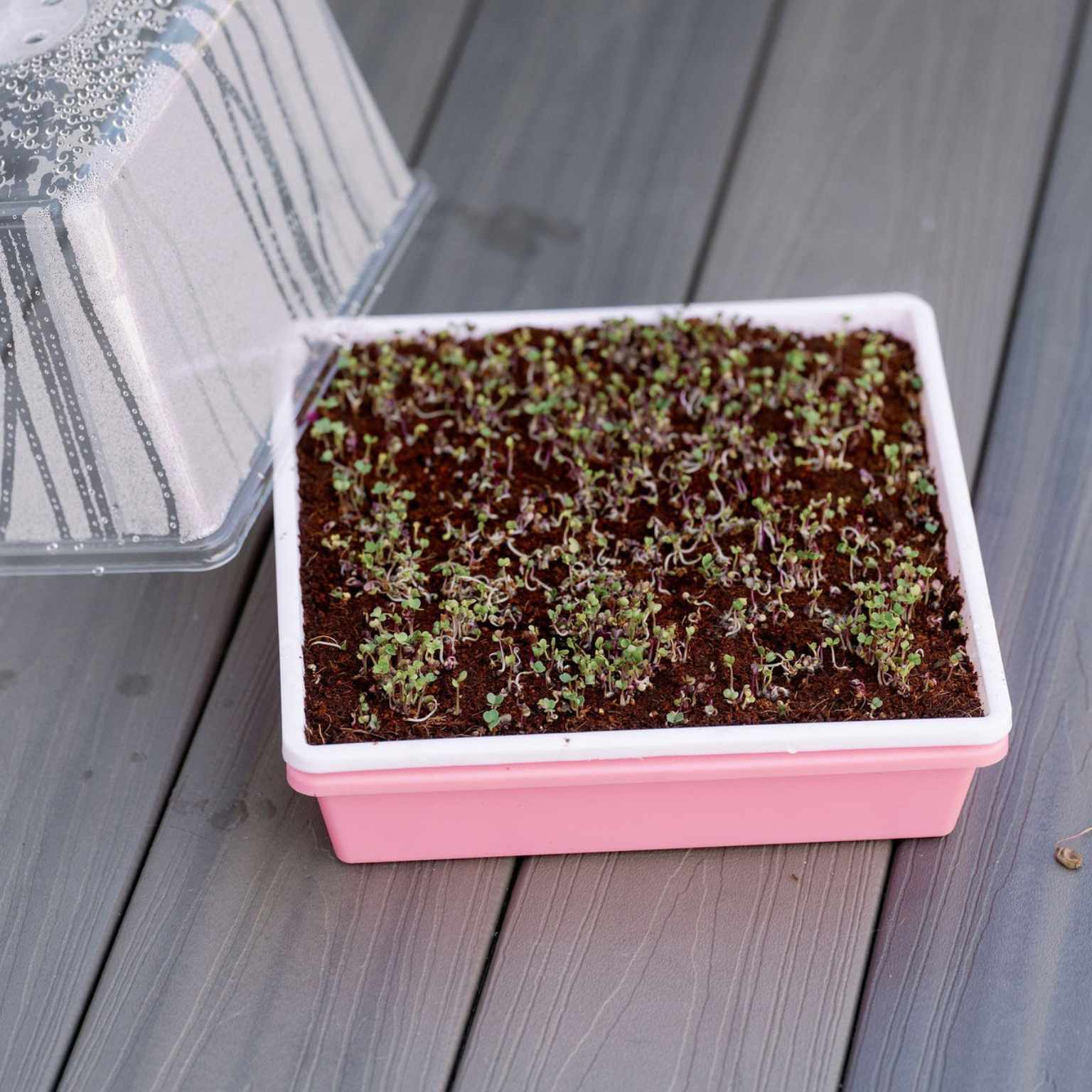 bootstrap-farmer-1010-trays-2-5-deep-extra-strength-usa-made image 5