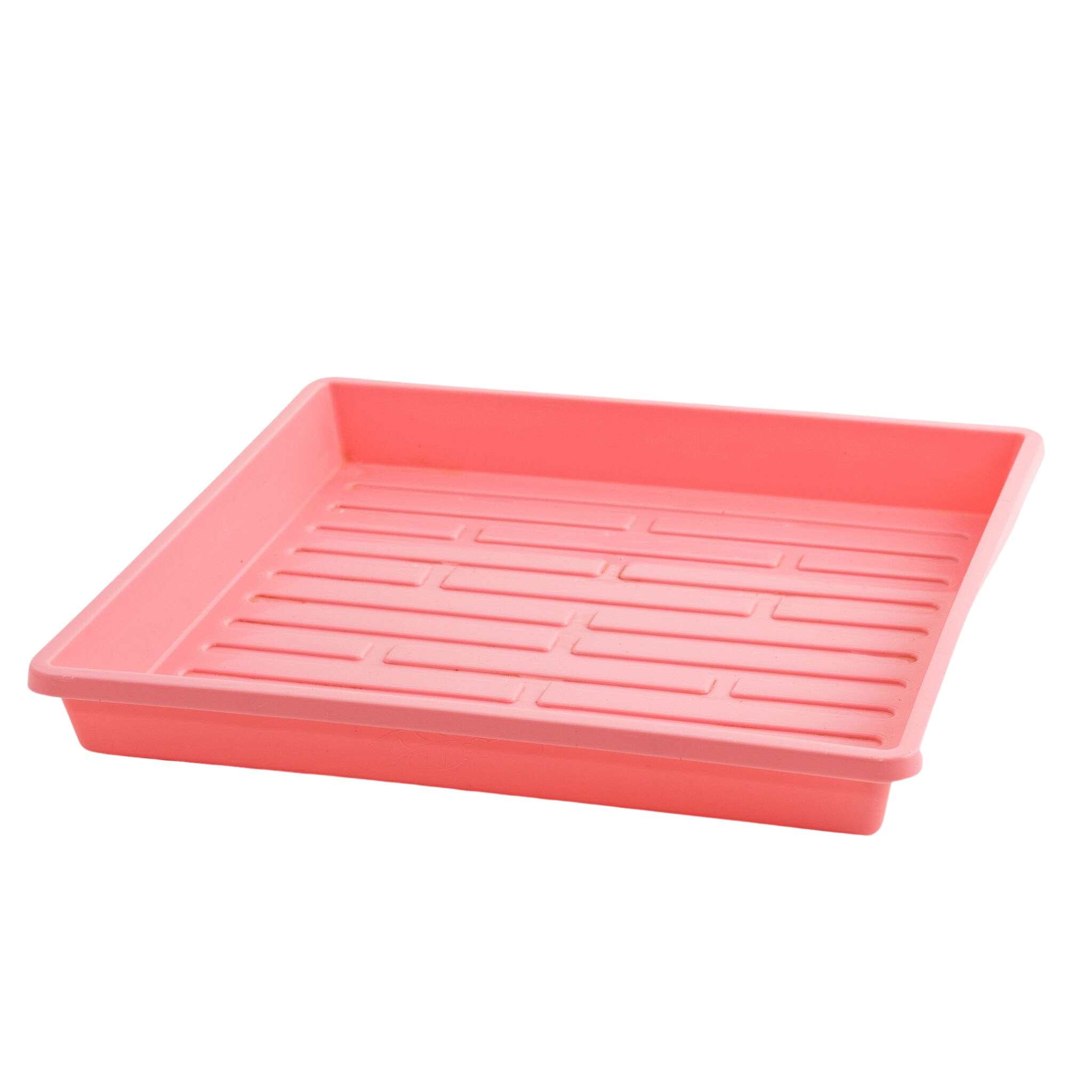 bootstrap-farmer-1010-extra-strength-shallow-seed-trays-10-x10-1-25-deep image 6