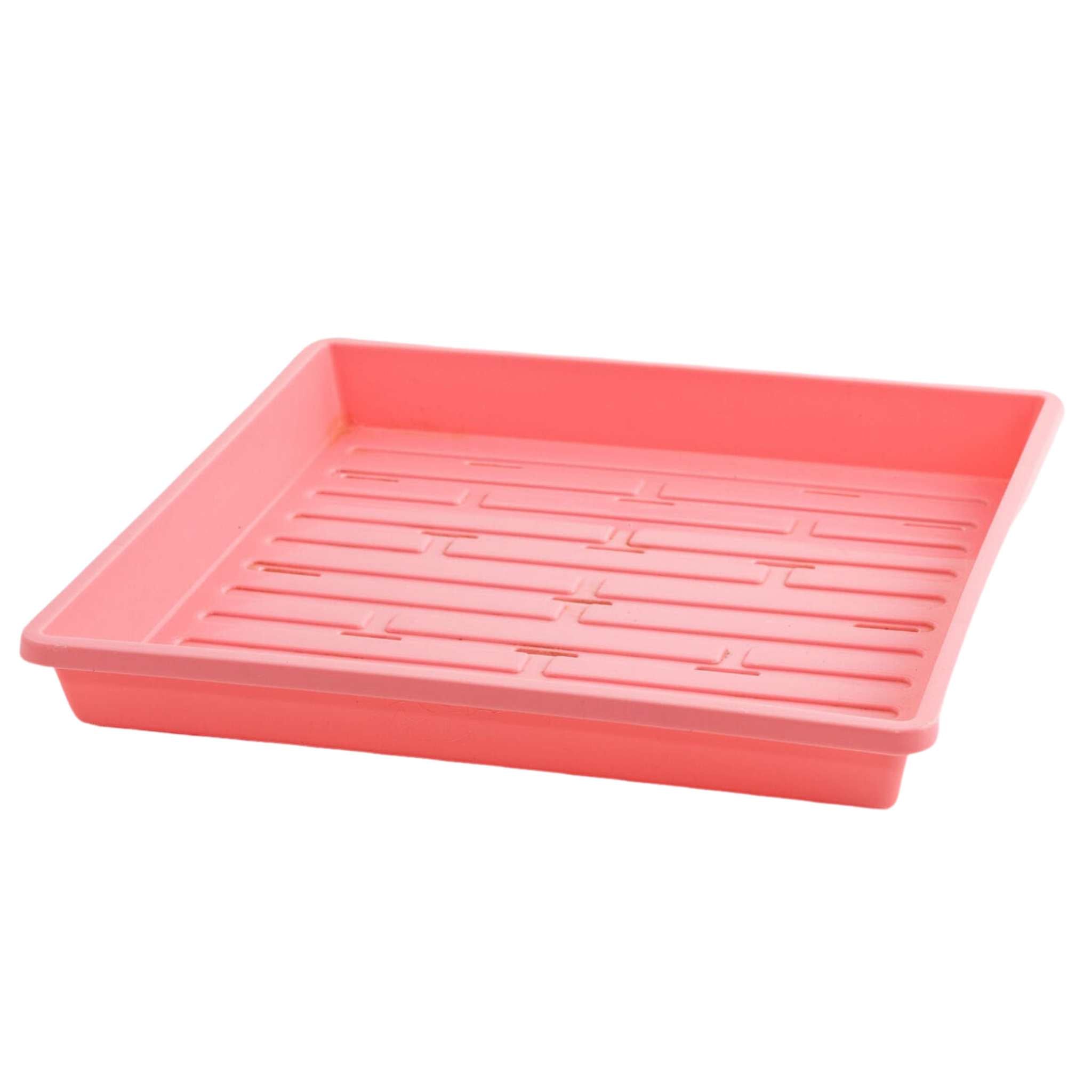 bootstrap-farmer-1010-extra-strength-shallow-seed-trays-10-x10-1-25-deep image 5