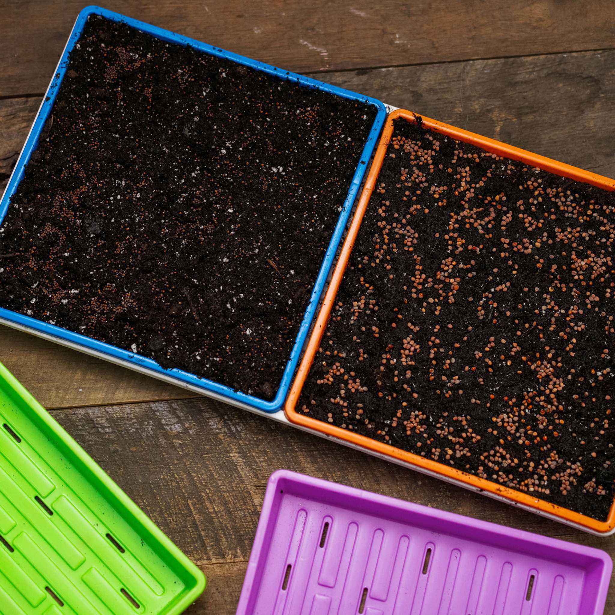 bootstrap-farmer-1010-extra-strength-shallow-seed-trays-10-x10-1-25-deep image 4