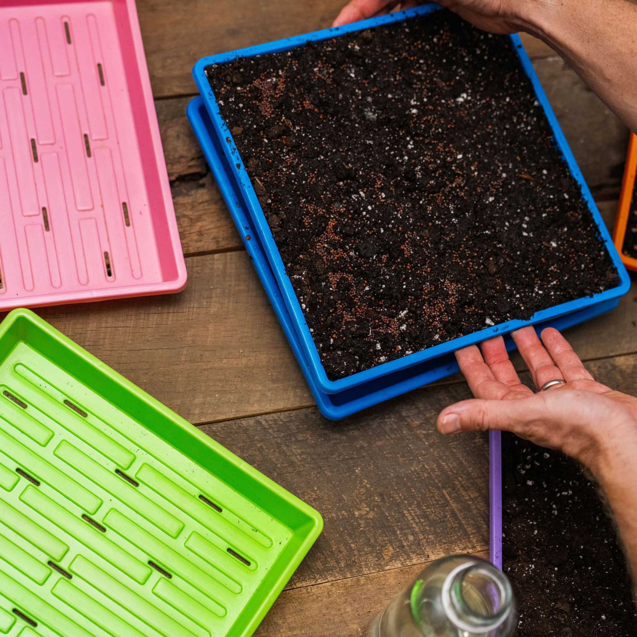 bootstrap-farmer-1010-extra-strength-shallow-seed-trays-10-x10-1-25-deep image 2