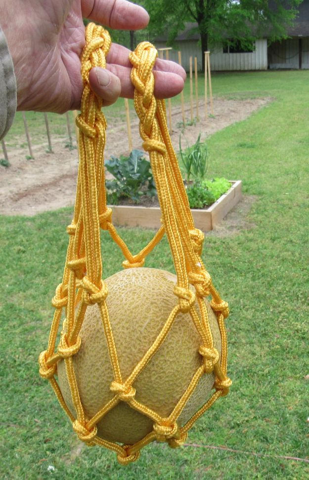 Saved my melons