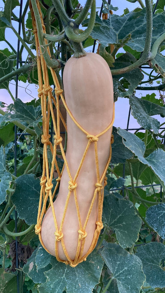 Helpful for melons