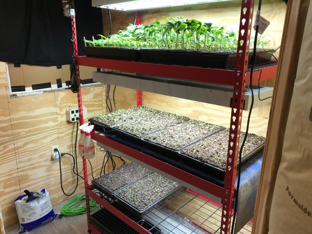 Perfect for a small greenhouse