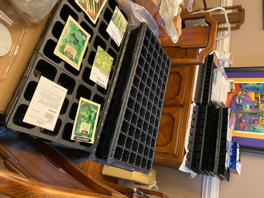 My go-to trays
