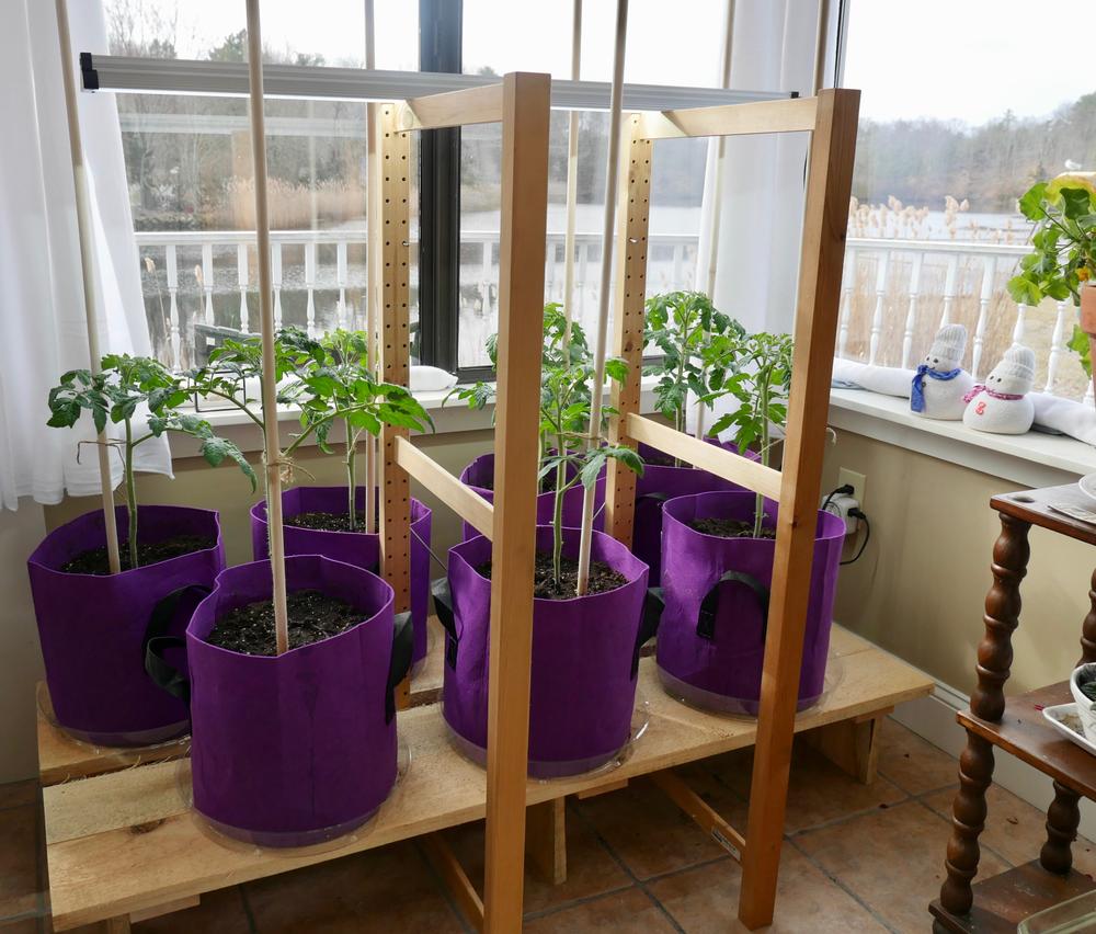Great for hydroponics