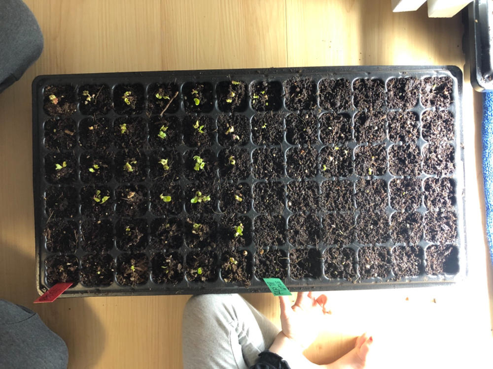 Perfect for my greenhouse