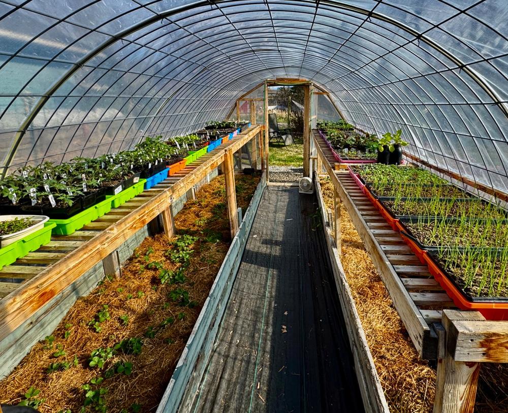 Perfect for my microgreens