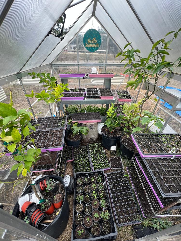 Great for propagation
