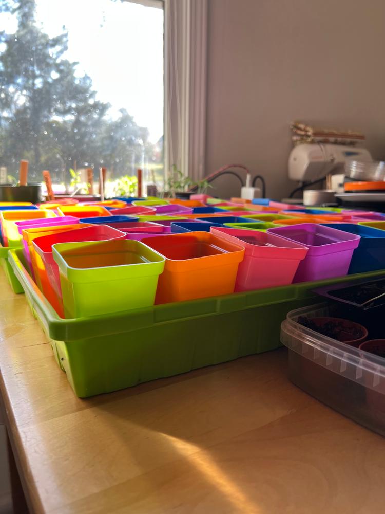 Excellent trays