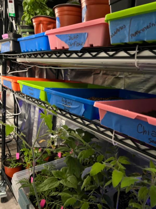 Perfect for my greenhouse