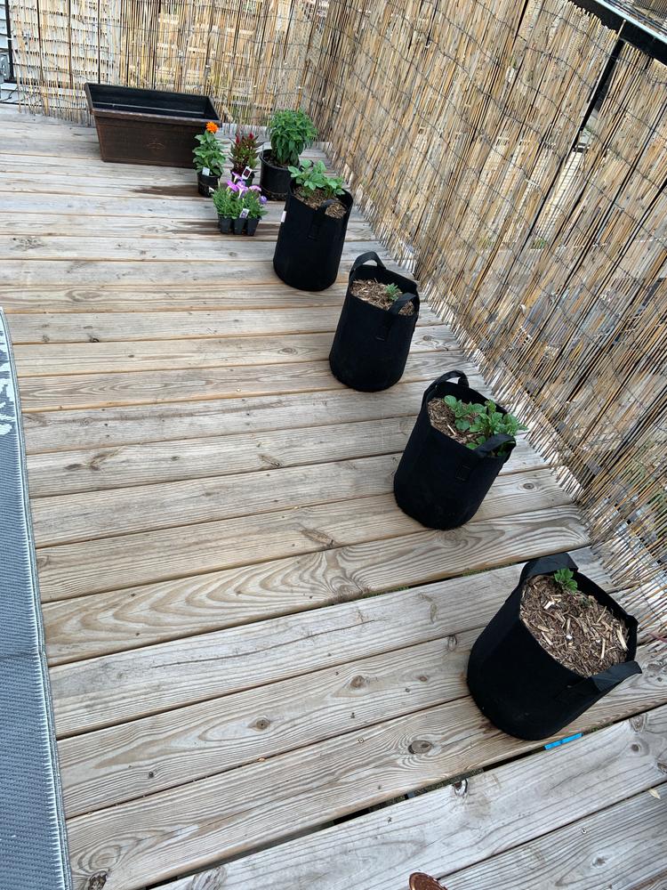 Best grow bags I've tried