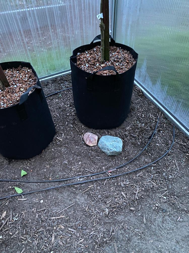 Excellent air pruning