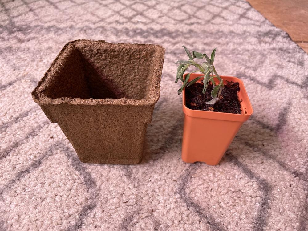 Great for tomatoes