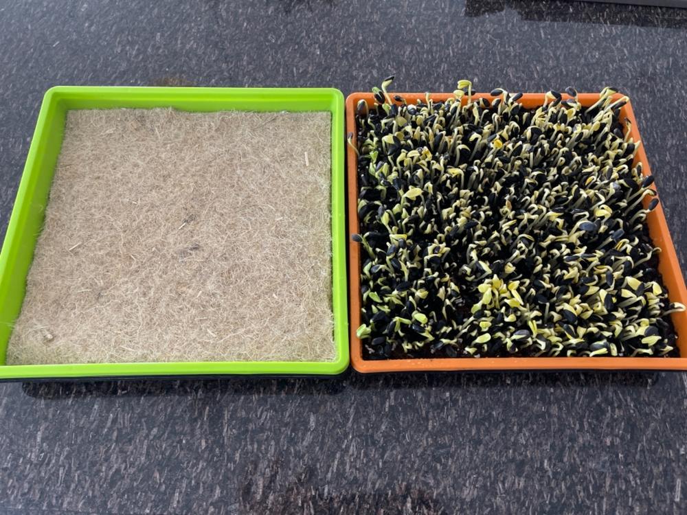 Good trays