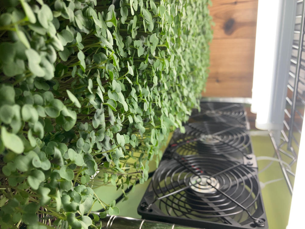 Essential for microgreens