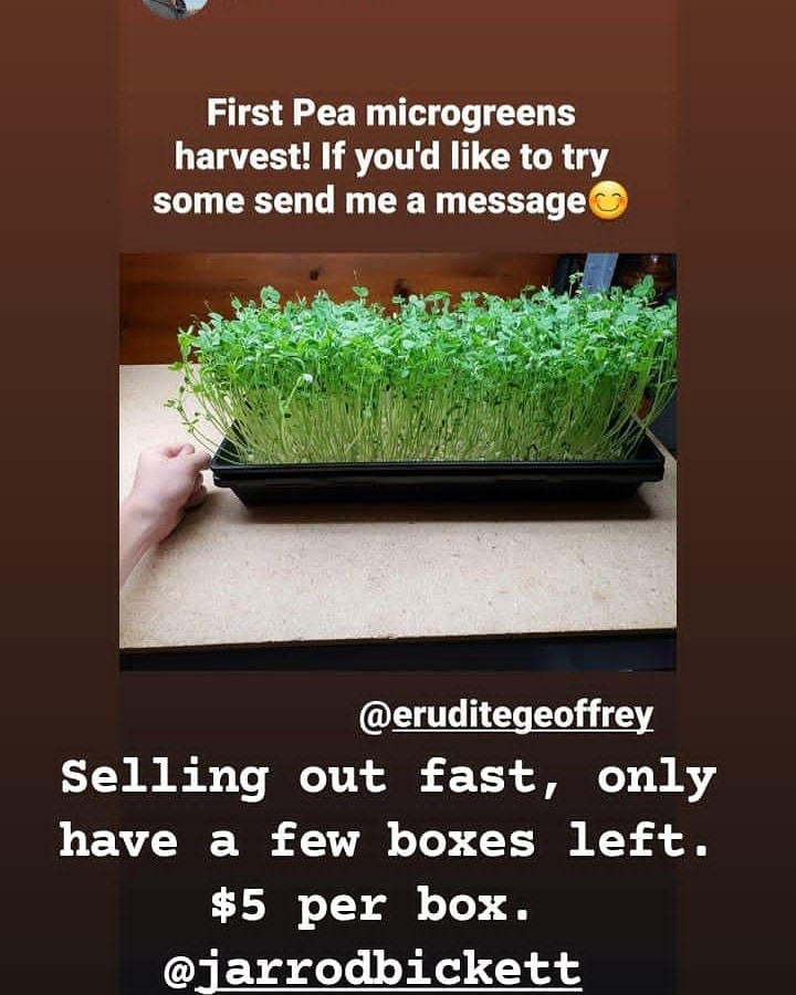 Perfect for microgreens