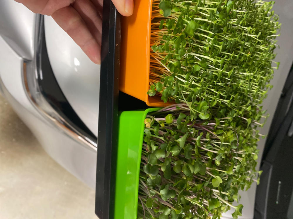 Works well for microgreens