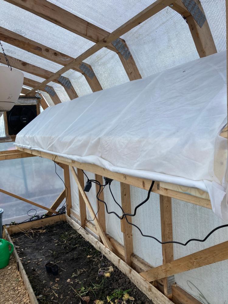 Perfect germination temps
