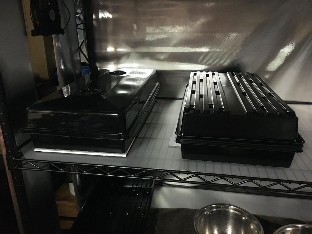 Essential for microgreen growers
