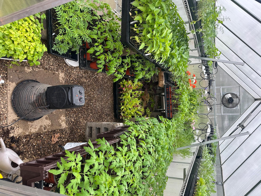 Love these trays!
