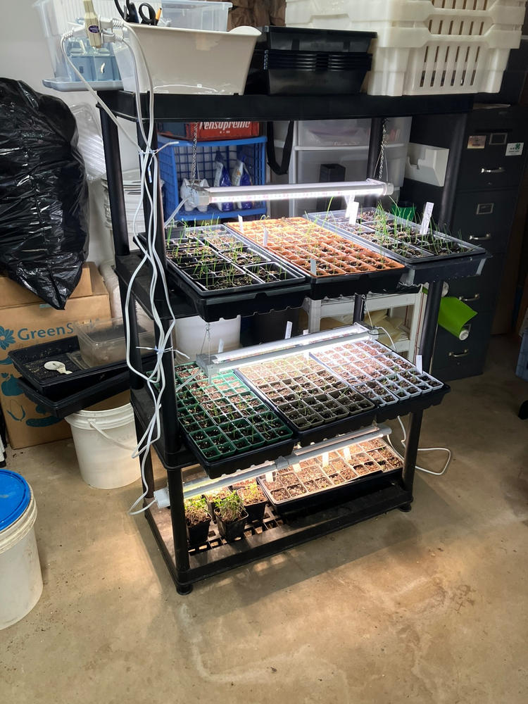Great trays, but shipping took a while