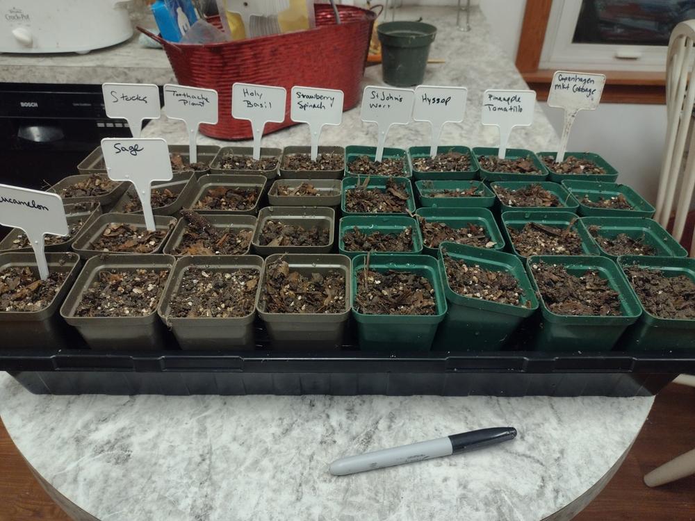 The best trays I've used