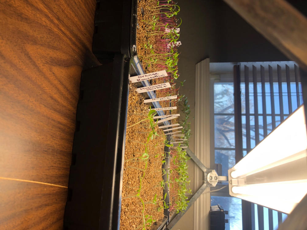Perfect for bottom watering
