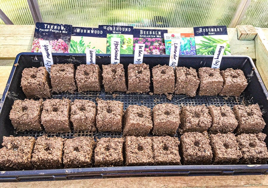 Nice trays