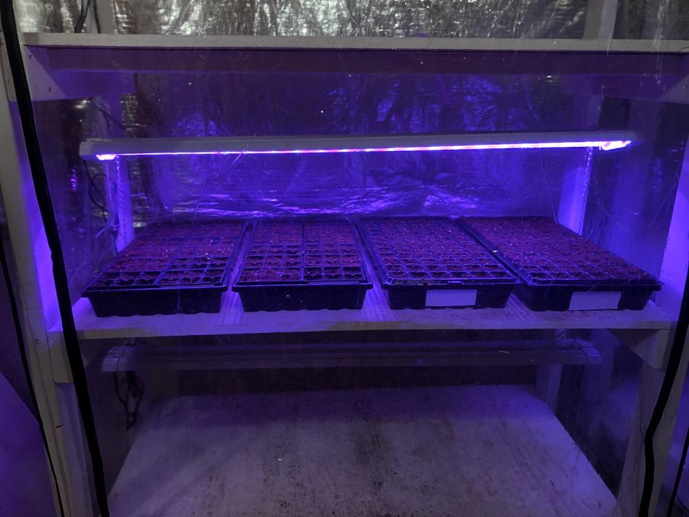 Great for large seed starting