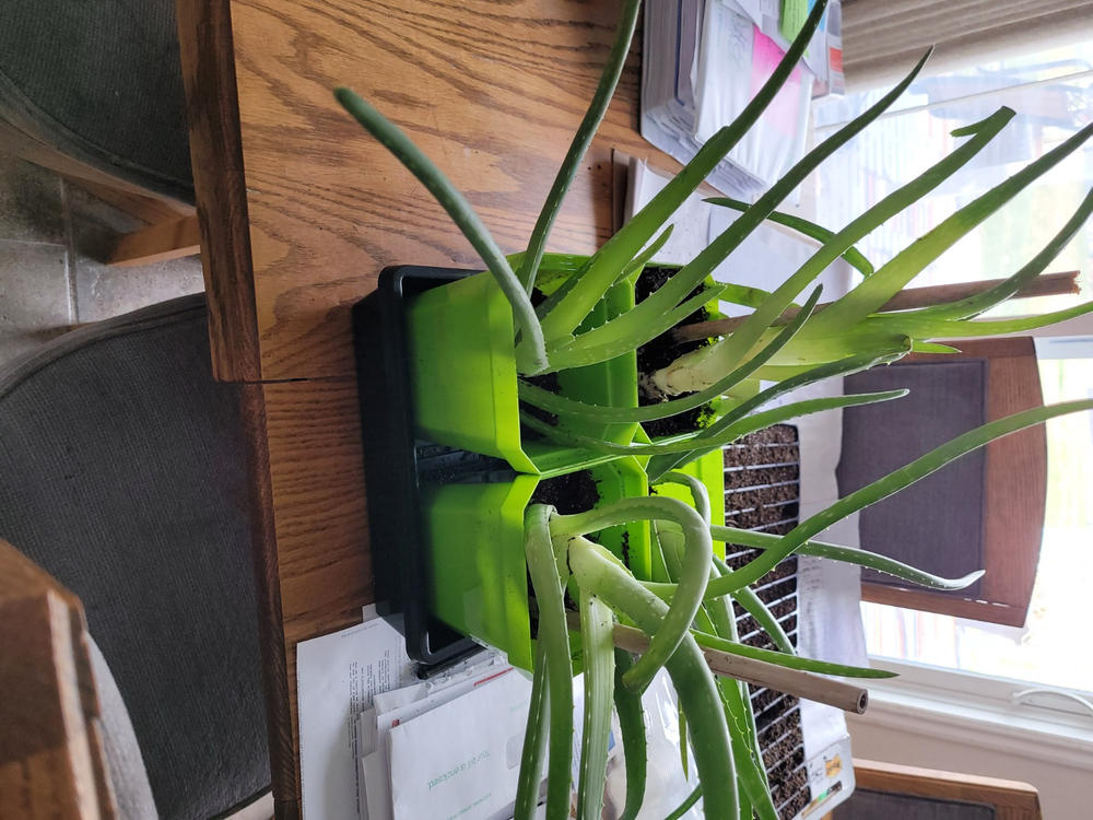 Perfect for my greenhouse