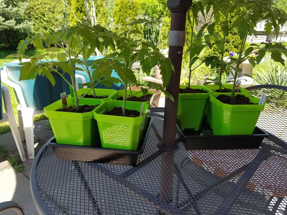 Best pots I've used