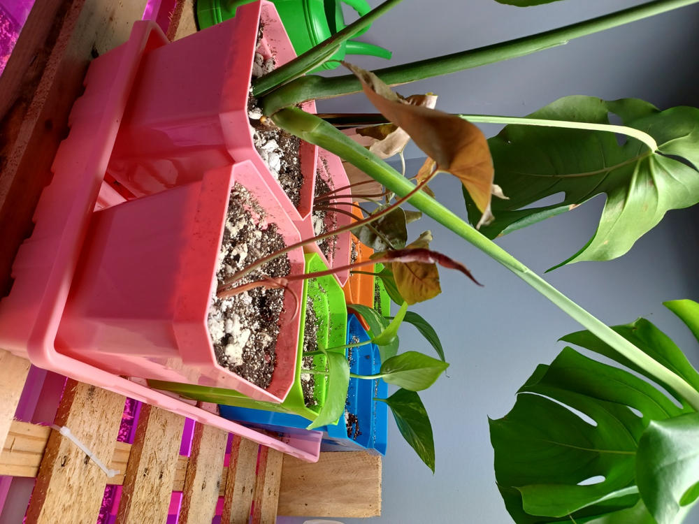 Perfect for my greenhouse