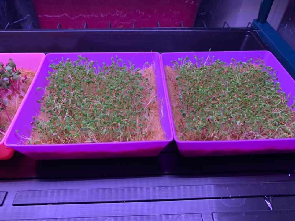 Mess-free growing
