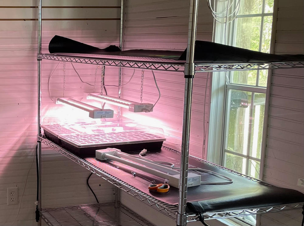 Perfect for seedlings