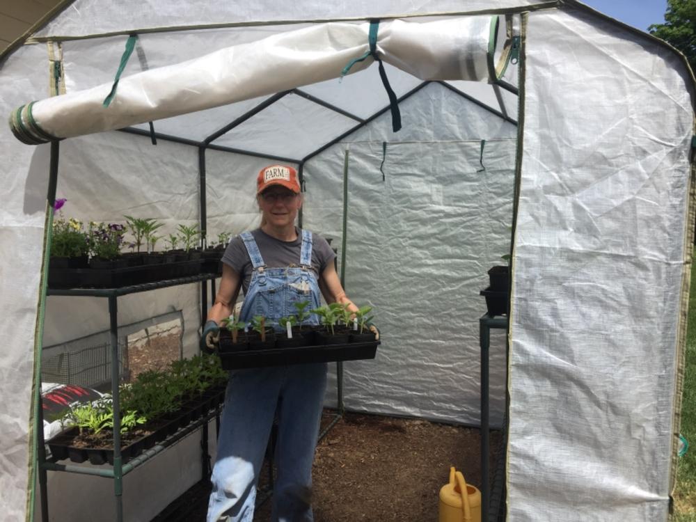 Game changer for seedlings!