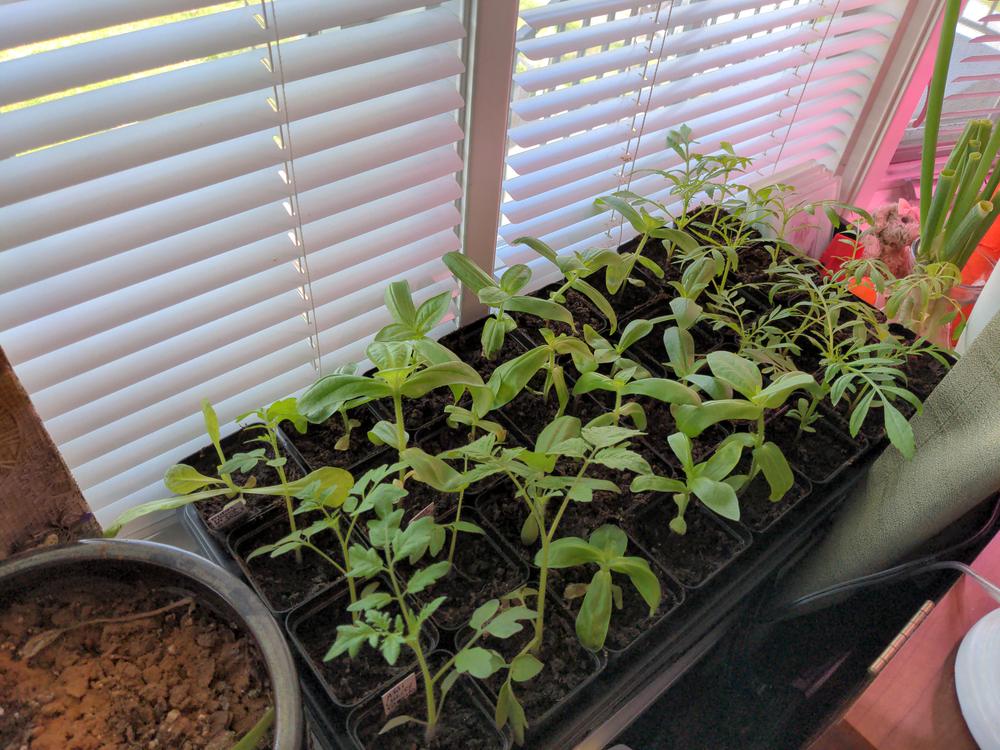Perfect for my greenhouse