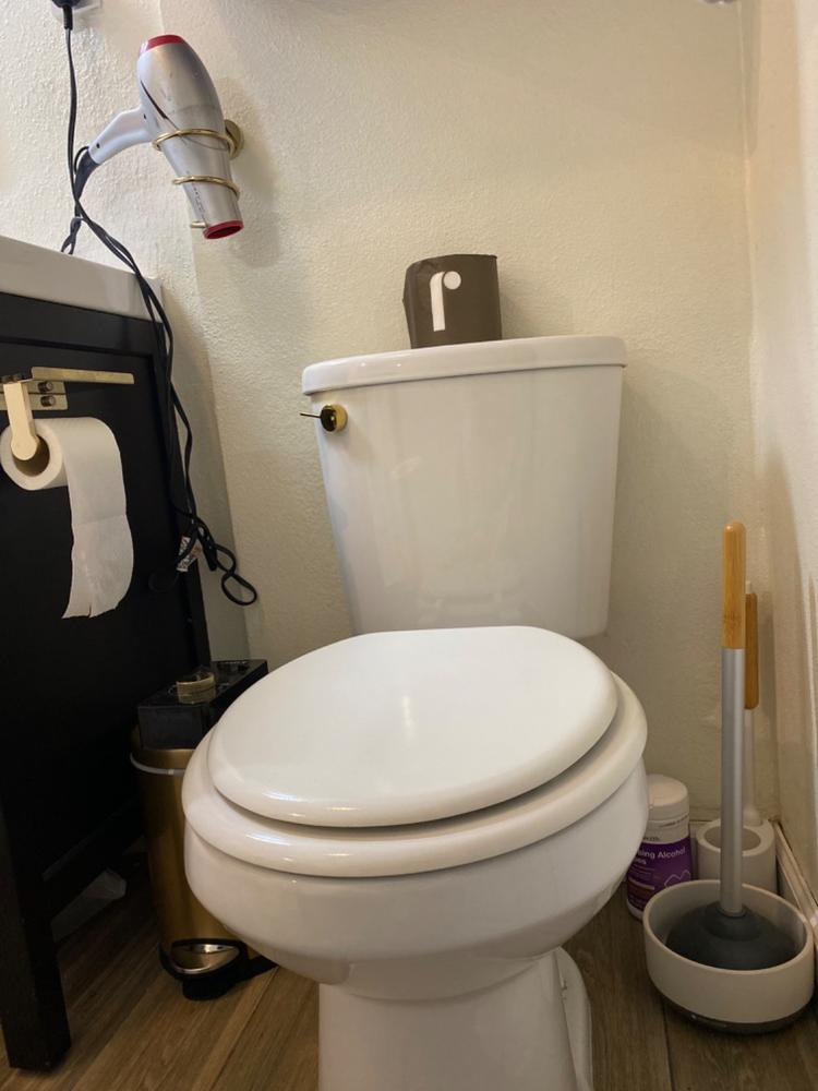 Good plunger, but a bit heavy