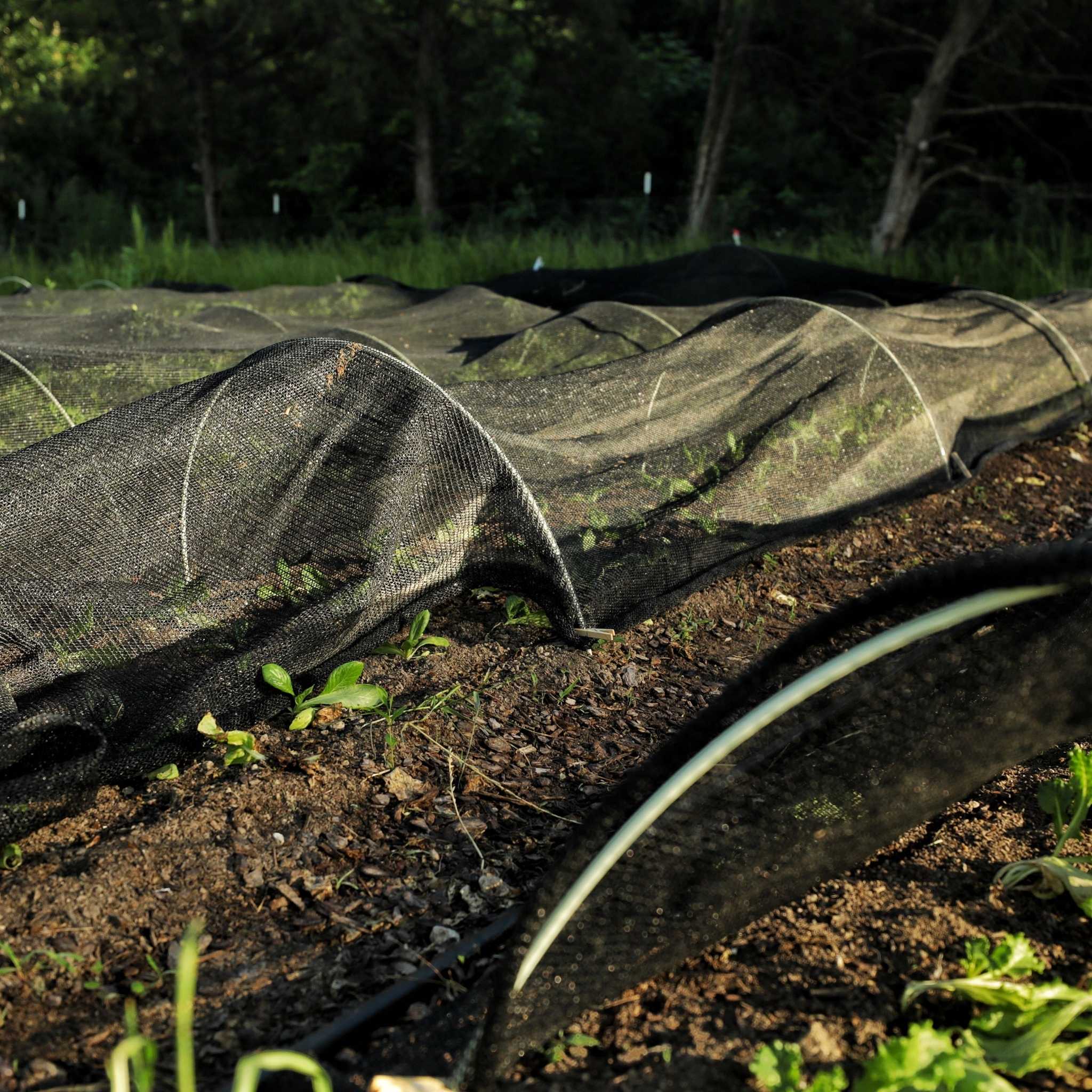 bootstrap-farmer-greenhouse-shade-cloth-50-black-multiple-sizes image 3
