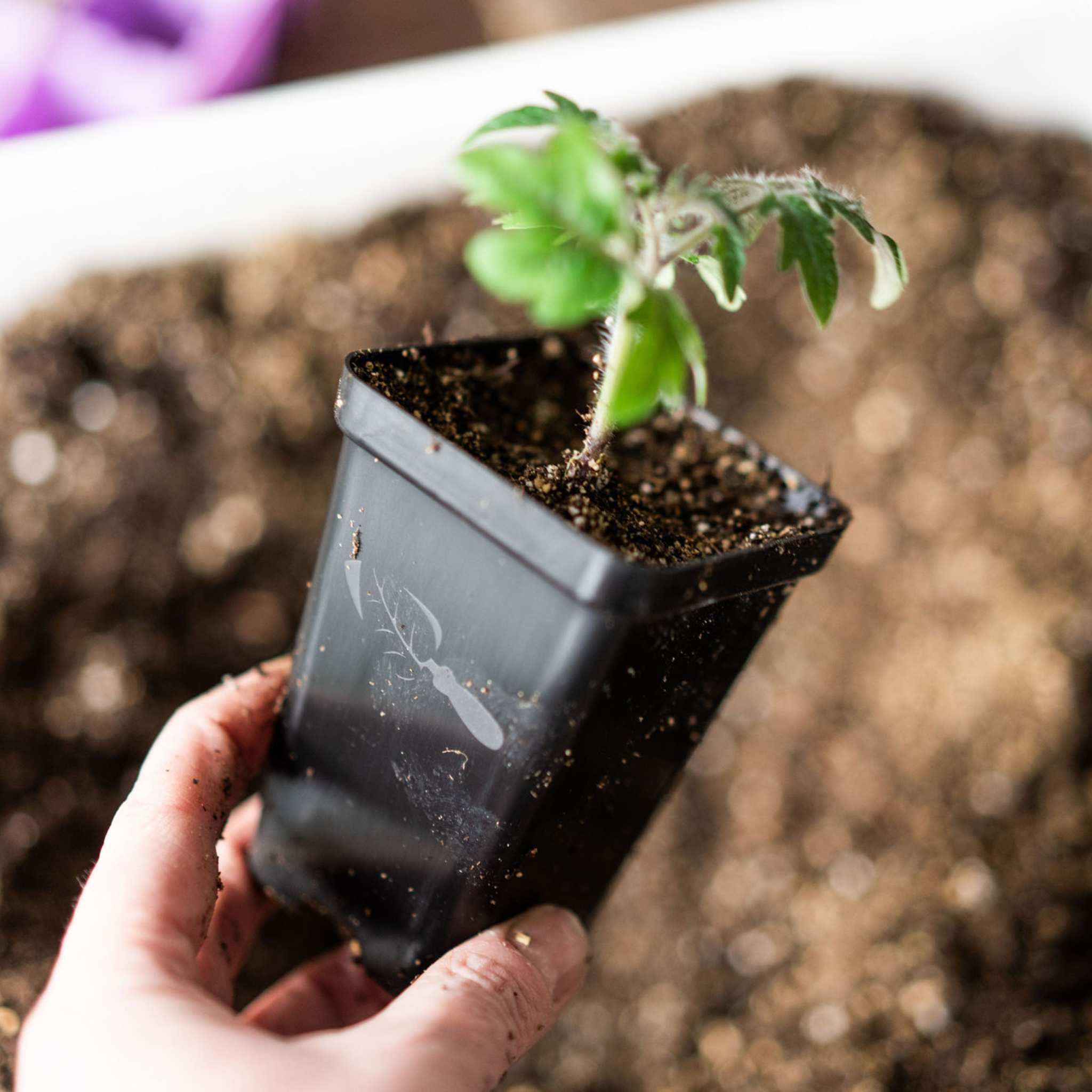 bootstrap-farmer-2-5-extra-strength-seed-starter-pots-reusable-bpa-free-made-in- image 2